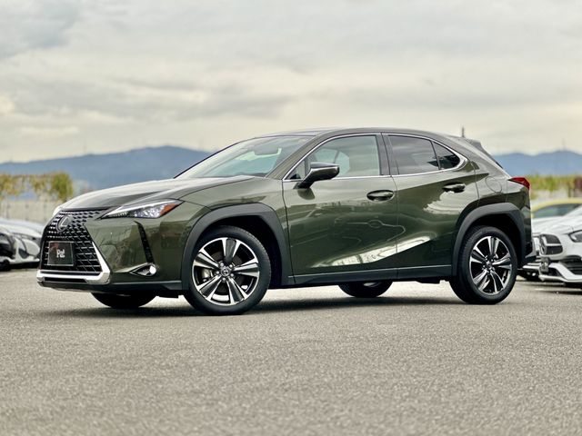 TOYOTA LEXUS UX300h 2024