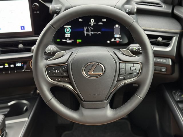 TOYOTA LEXUS UX300h 2024