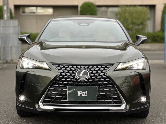 TOYOTA LEXUS UX300h 2024