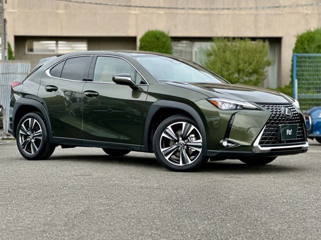TOYOTA LEXUS UX300h 2024