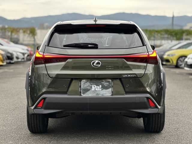 TOYOTA LEXUS UX300h 2024
