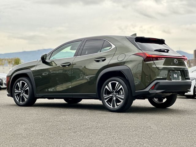 TOYOTA LEXUS UX300h 2024