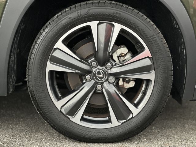 TOYOTA LEXUS UX300h 2024