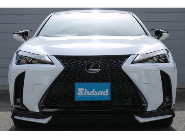 TOYOTA LEXUS UX200 2022