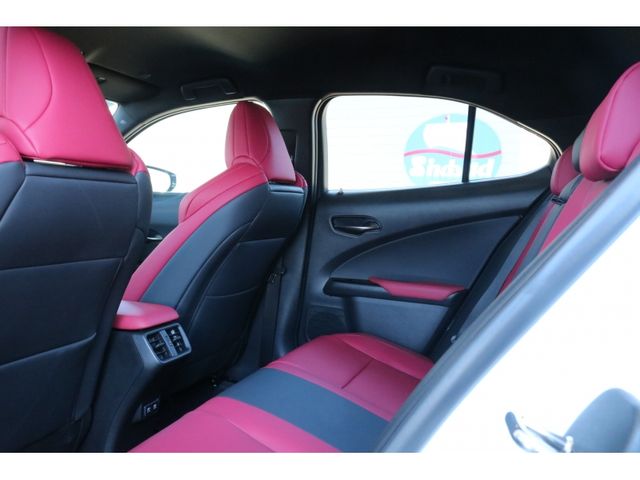 TOYOTA LEXUS UX250h 2020