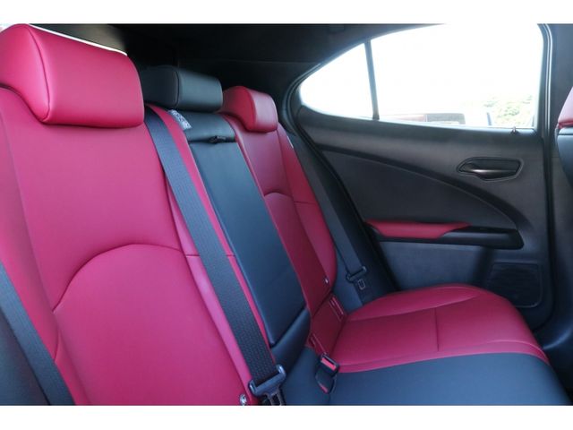 TOYOTA LEXUS UX250h 2020