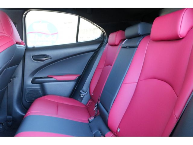 TOYOTA LEXUS UX250h 2020