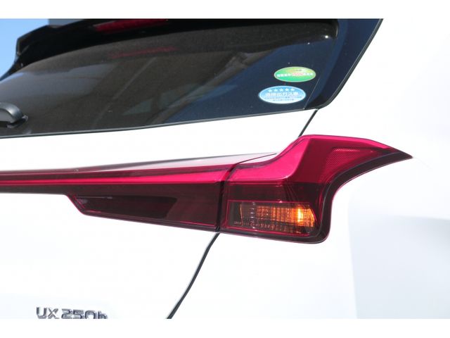 TOYOTA LEXUS UX250h 2020