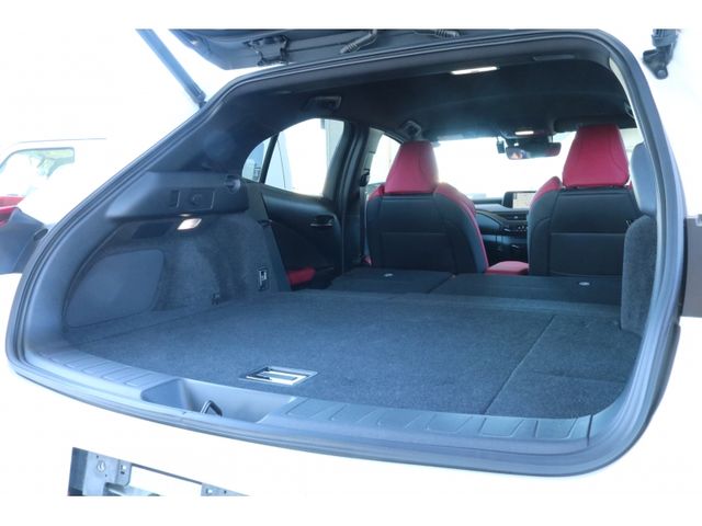 TOYOTA LEXUS UX250h 2020