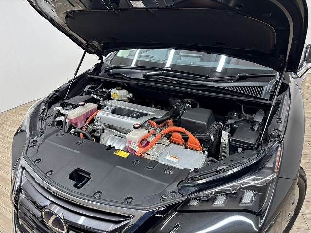 TOYOTA LEXUS NX300h 2014