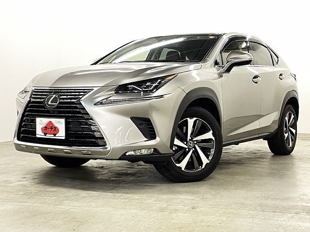TOYOTA LEXUS NX300 2020