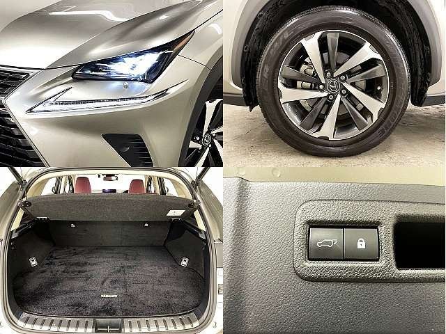 TOYOTA LEXUS NX300 2020