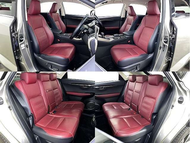 TOYOTA LEXUS NX300 2020