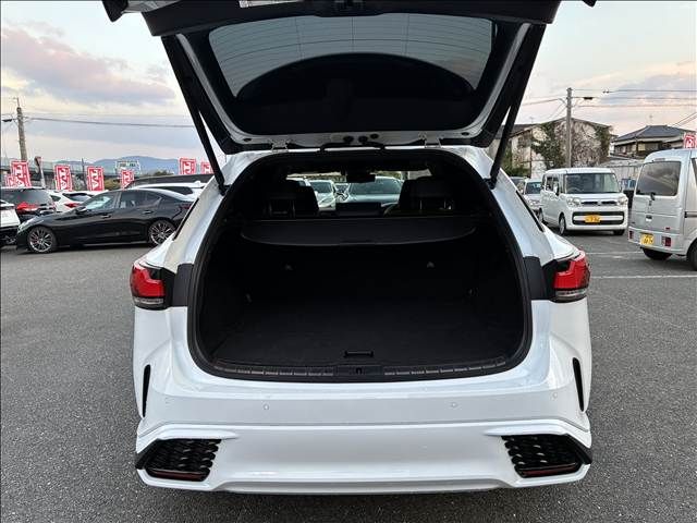 TOYOTA LEXUS RX500h 2023