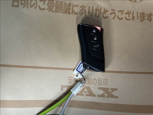 TOYOTA LEXUS RX500h 2023