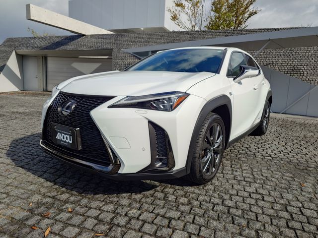 TOYOTA LEXUS UX250h 2019
