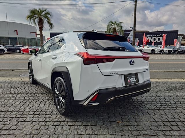 TOYOTA LEXUS UX250h 2019