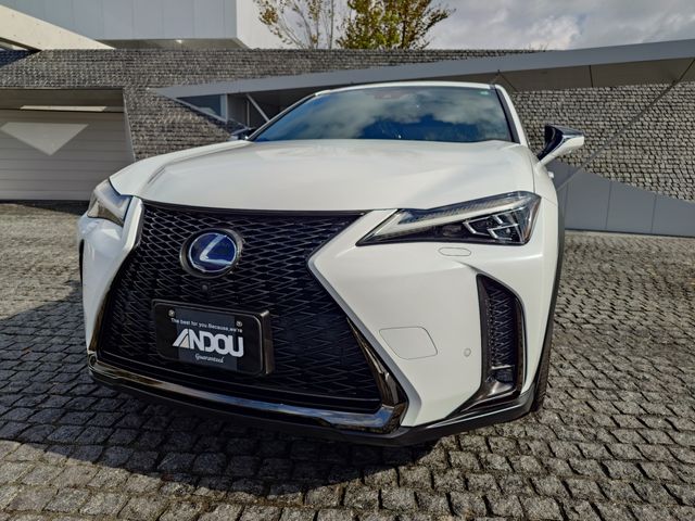 TOYOTA LEXUS UX250h 2019
