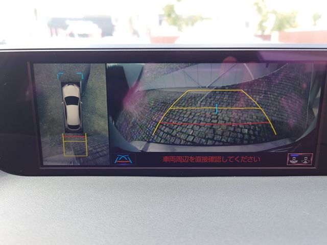 TOYOTA LEXUS UX250h 2019