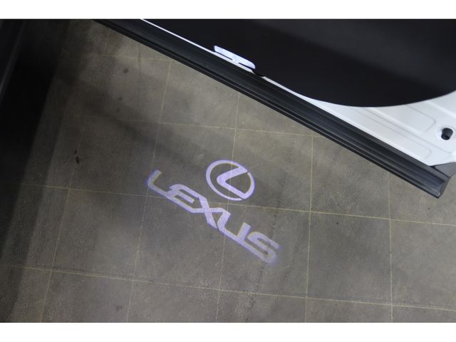 TOYOTA LEXUS NX350h AWD 2023