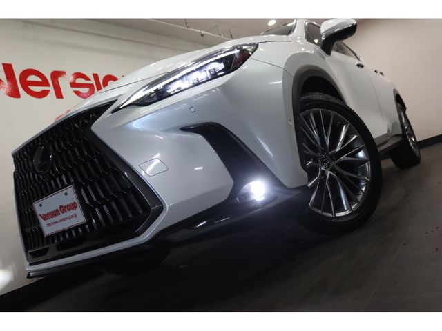 TOYOTA LEXUS NX350h AWD 2023