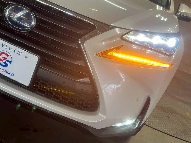 TOYOTA LEXUS NX300h 2016