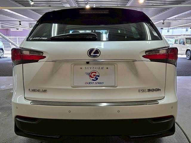 TOYOTA LEXUS NX300h 2016