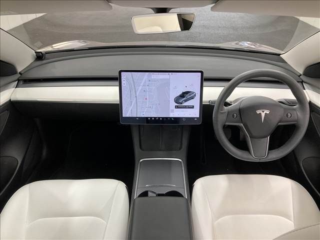 TESLA TESLA MODEL 3 2021