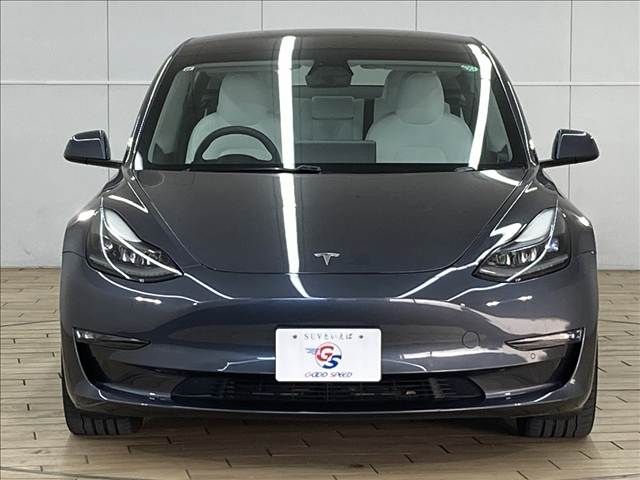 TESLA TESLA MODEL 3 2021