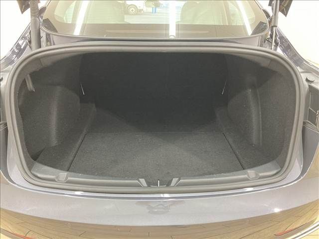 TESLA TESLA MODEL 3 2021