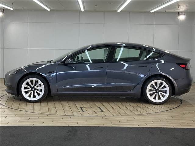 TESLA TESLA MODEL 3 2021