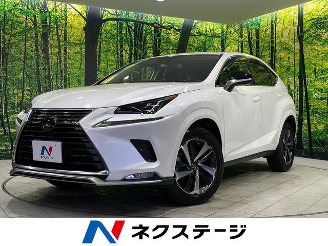TOYOTA LEXUS NX300 AWD 2020