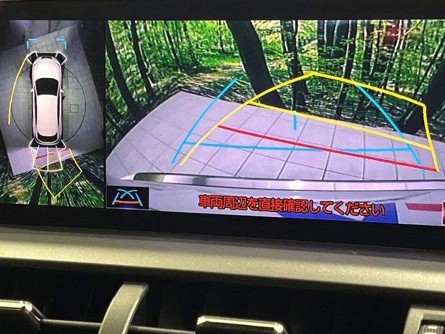 TOYOTA LEXUS NX300 AWD 2020