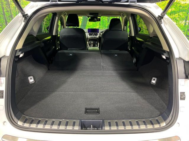 TOYOTA LEXUS NX300 AWD 2020