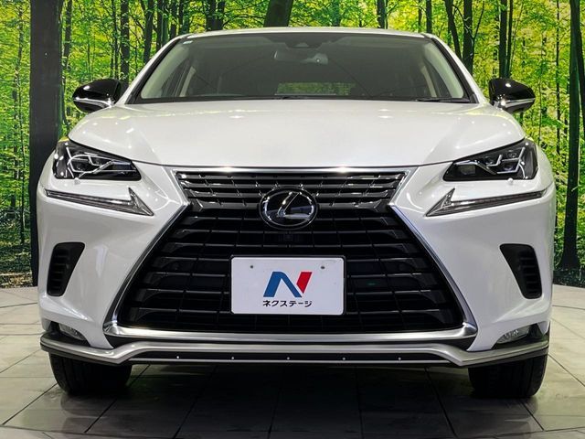 TOYOTA LEXUS NX300 AWD 2020