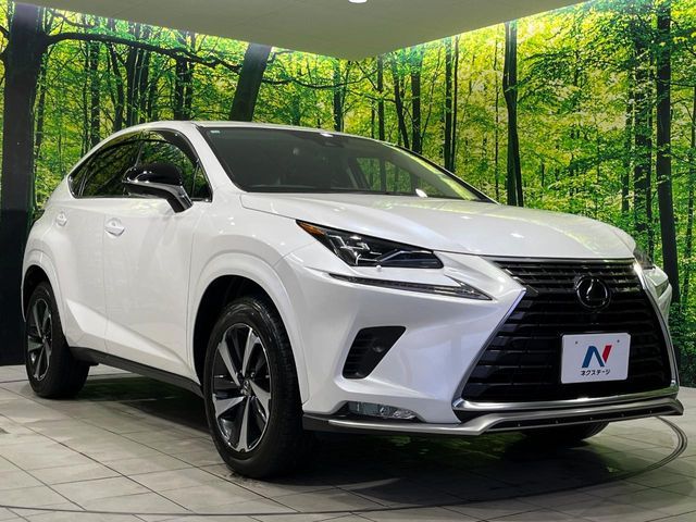 TOYOTA LEXUS NX300 AWD 2020