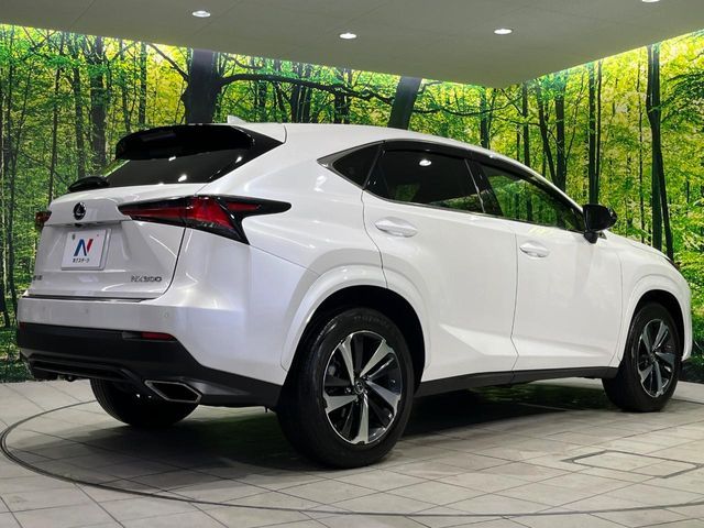 TOYOTA LEXUS NX300 AWD 2020