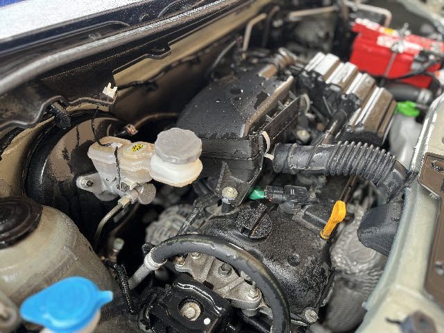 SUZUKI ALTO LAPIN 2019