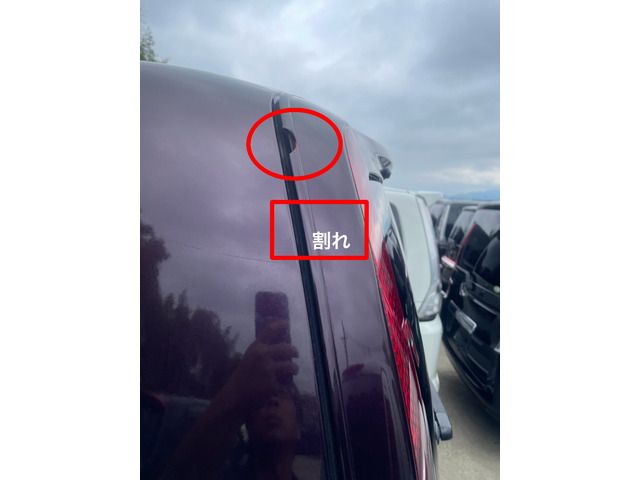 NISSAN SERENA  WG 2010