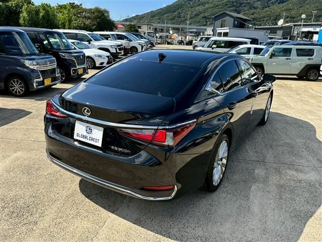 TOYOTA LEXUS ES300h 2023