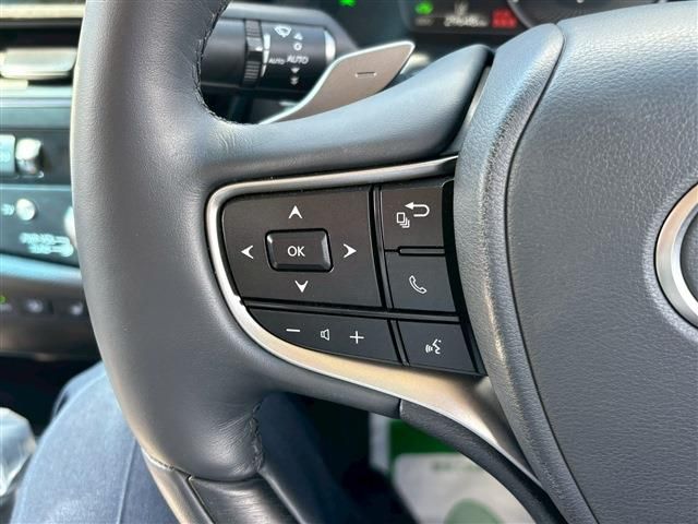 TOYOTA LEXUS ES300h 2023