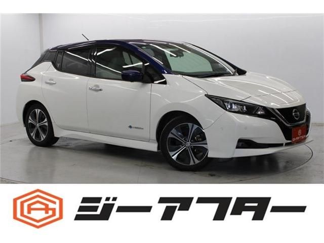 NISSAN LEAF 2017