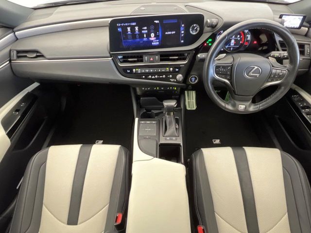 TOYOTA LEXUS ES300h 2021