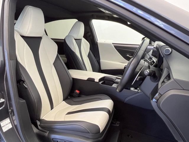 TOYOTA LEXUS ES300h 2021