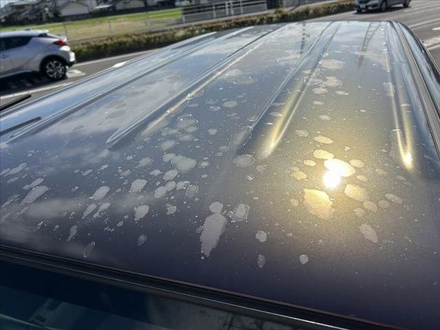 DAIHATSU MIRA Cocoa 2015