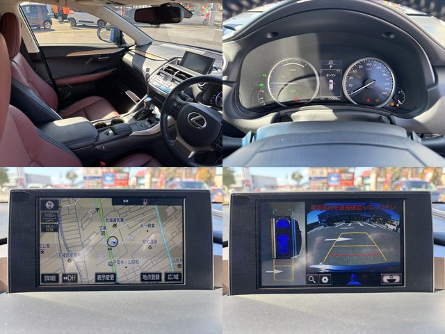 TOYOTA LEXUS NX300h AWD 2015