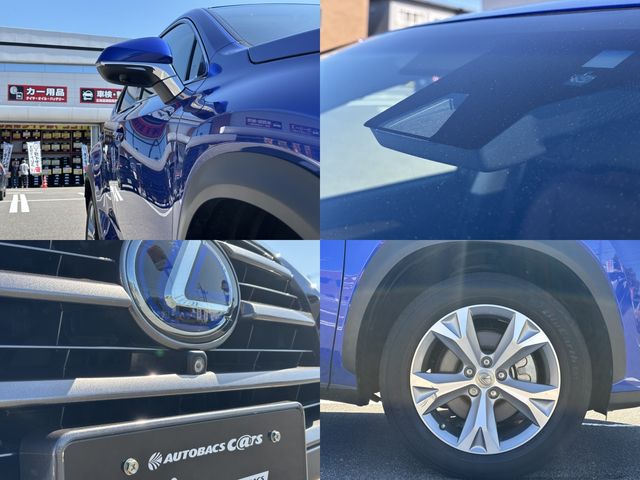 TOYOTA LEXUS NX300h AWD 2015