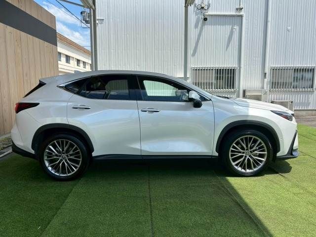 TOYOTA LEXUS NX350h 2023