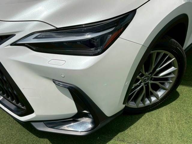TOYOTA LEXUS NX350h 2023