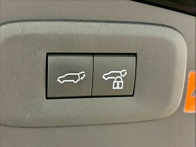 TOYOTA LEXUS RZ450e 2023